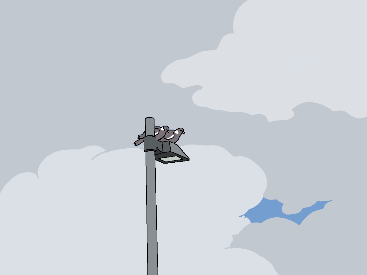 An illustration of two pigeons perched together on top of a streetlamp against a cloudy sky.