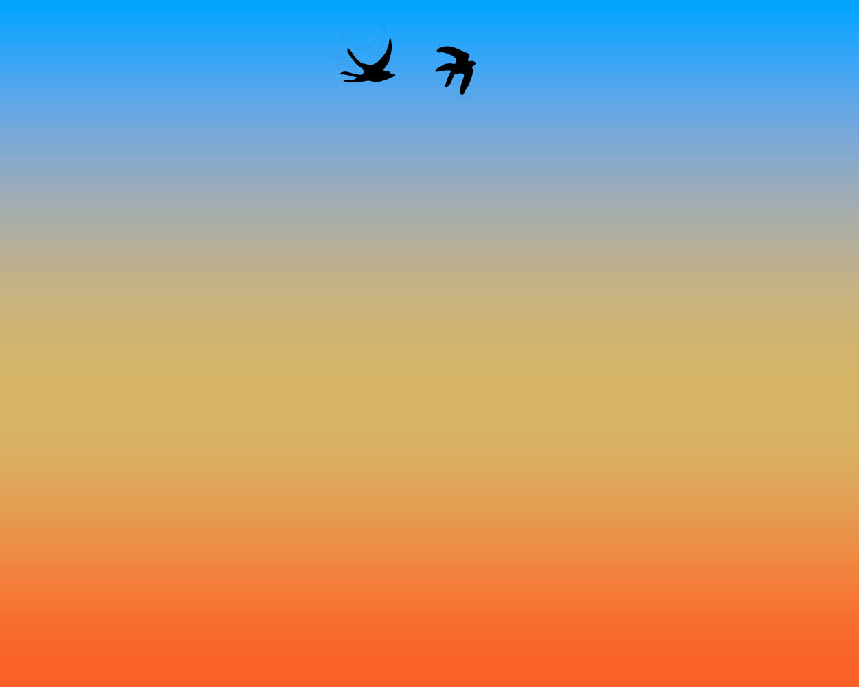 Two bird silhouettes flying against a sunset gradient sky transitioning from blue to orange